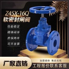 奧金閥門(mén) 堅(jiān)久耐用軟密封閘閥 Z45-16Q